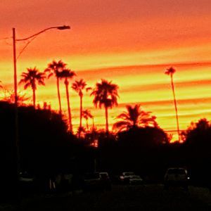 Meet your Posher, Nora